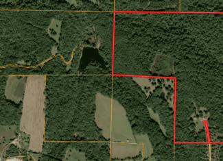 Missouri Ozarks Hunting Land Near Caney Mountain Conservation and Bull Shoals Lake